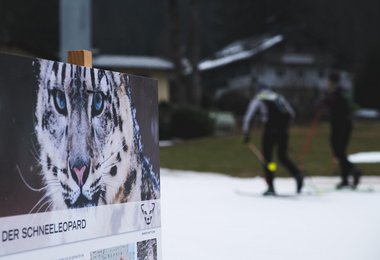 DYNAFIT Snow Leopard Day  2023