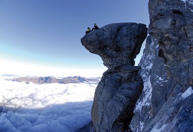 Magic Mushroom Eiger Nordwand