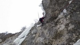 In der Route B-Vitamin