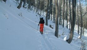 Skitour Rosenkogel