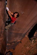 rok sisernik in cat woman © gerhard schaar