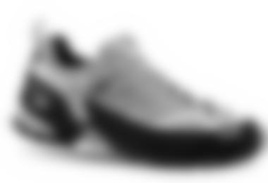Salewa FIRETAIL GTX