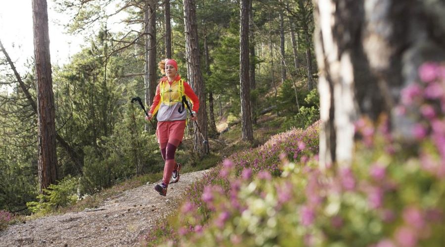 Salewa Alpine Speed (Foto: Salewa)