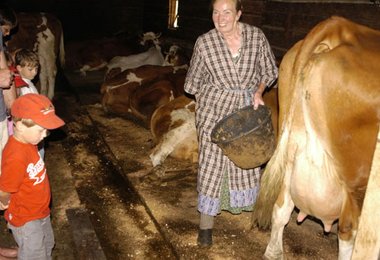 Die Gruppe beim Besuch im Kuhstall