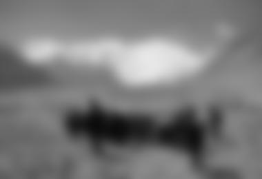 Anmarsch mit 13 Yaks ins Nordwand-Basislager 5550 m