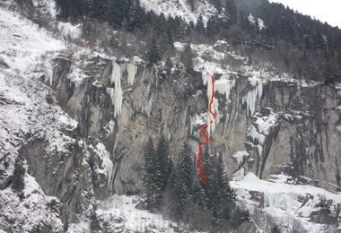 Übersicht Gorillas im Nebel