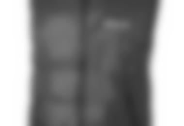 CARINTHIA Downy Light Vest