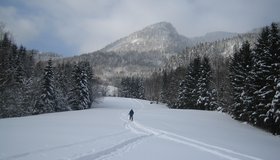 Wiesen beim Greithhof