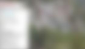 Übersicht Feuersalamander und Brillenschlange