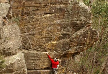 Gerhard Schaar in new york - Blue Mountains