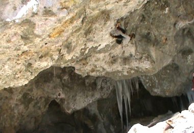 Markus in Law and Order