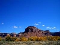 cat wall © gerhard schaar