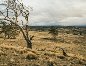 Die tasmanische Landschaft. (Foto: Ortovox)