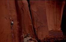 fabio leoni tom cat © gerhard schaar