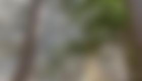 Wandübersicht Hohe Stube