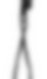 Shock Absorber Performance Klettersteig-Set