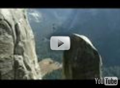 Video: Highliner – Dean Potters Solo Highlinebegehung des Lost Arrow