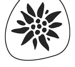 AUTO-MATICLINE von Edelweiss