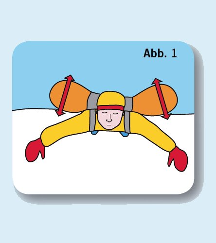 An der Oberfläche der Lawine treiben (Abb. 1)