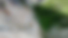 Im unteren Teil von "Megaschmurz".