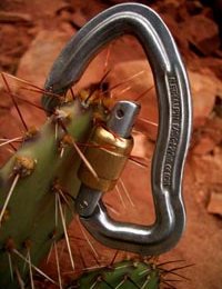 dessert bine © gerhard schaar