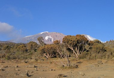 Blick vom Shira Camp (3840m) auf den Kili