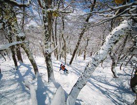 2.5 Millionen Feet (Foto: Ortovox)