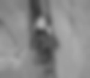 Gehard in der Wand