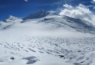 Das Obersulzbachkees mit dem Großvenediger. Foto: OeAV -B. Seiser