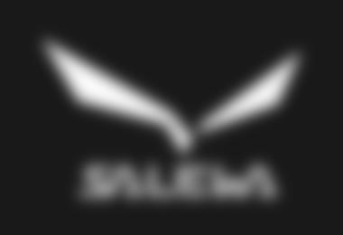 Das neue Salewa Logo