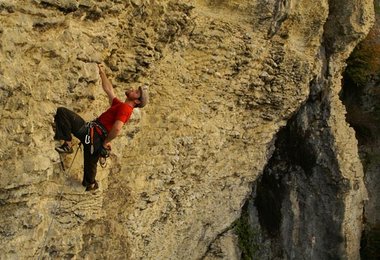 Andrew Trotter - Pohara - Bo Peep Slab - Animated Suspension