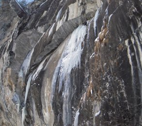 Unter der Tour Gorillas im Nebel