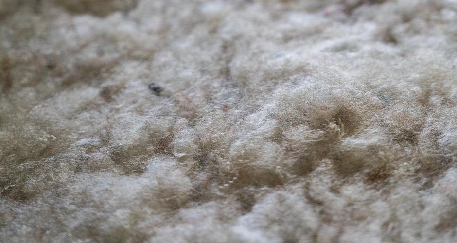 Mammut Loopinsulation