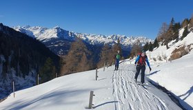 Vor der Arztal-Alm - Skitour Grünbergspitze