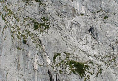 Göll Westwand mit großem Trichter © Hans Hornberger