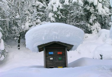 Schneehöhe auf einem Bienenstock
