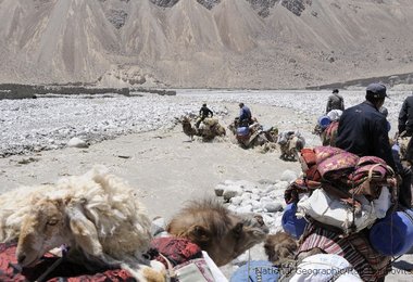 Flussquerung des Kulquin River im Shaksgam Tal © National Geographic/Ralf Dujmovits