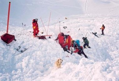 147 Lawinentote in den Alpen