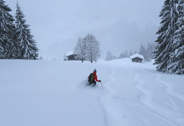 Im Powder macht es natürlich doppelt so viel Spaß.