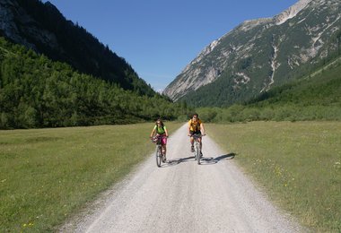 Freie Fahrt für Radfahrer auf Forststraßen!