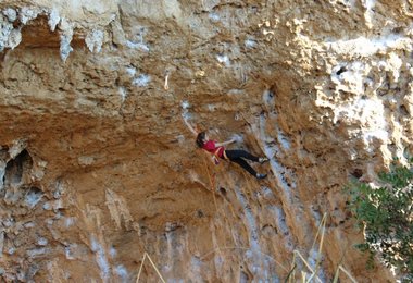 Laura Rogora © Rogora collection