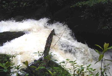 Zweifelhafte Brücke