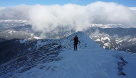 Gipfelgrat zwischen Kreuzkarschneid und Kreuzkogel