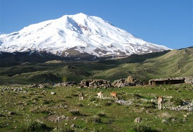 Der Ararat