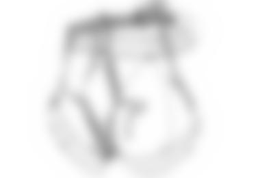 Der Petzl Altitude Klettergurt