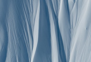 DIG (c) Deichrob Nicolas