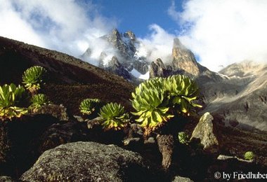 Buchtipp: 'Berge Afrikas' Bildband mit Toureninfo CD
