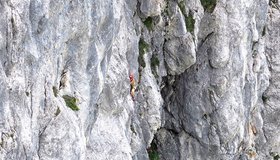 Im oberen Teil der Route „Lebe deinen Traum“.