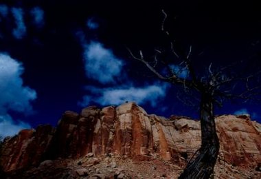 Battle of the Bulge © gerhard schaar