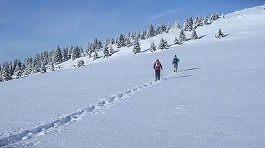 Bergwanderführer-Ausbildung in der Steiermark